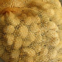 Pomme de terre  sac de Mr Girault , pas traitement anti germe