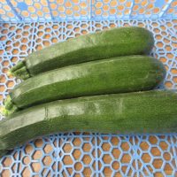 Courgette