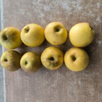 a1 Pomme Belchard