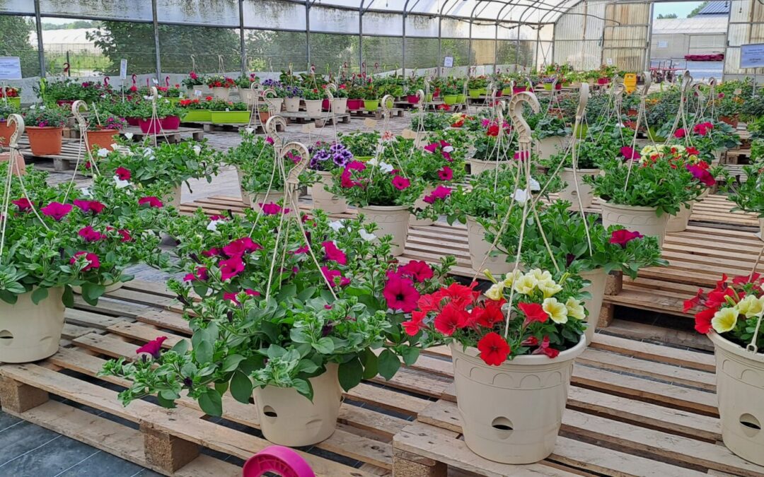 Jardinières, suspensions et potées fleuries